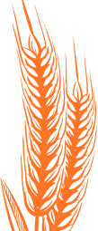 Frame 1